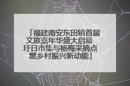 福建南安东田镇首届文旅嘉年华盛大启幕 圩日市集与杨梅采摘点燃乡村振兴新动能