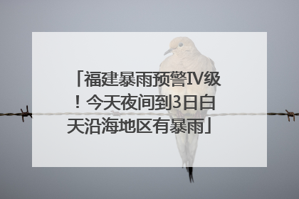 福建暴雨预警Ⅳ级！今天夜间到3日白天沿海地区有暴雨