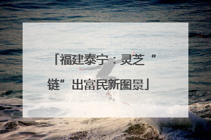 福建泰宁：灵芝“链”出富民新图景