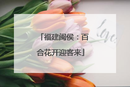 福建闽侯：百合花开迎客来
