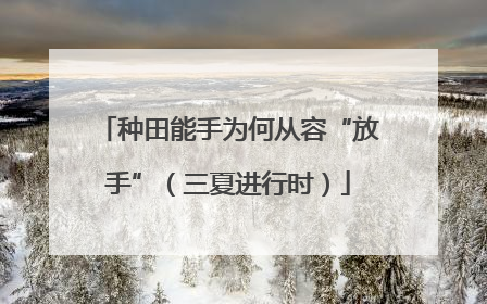 种田能手为何从容“放手”（三夏进行时）