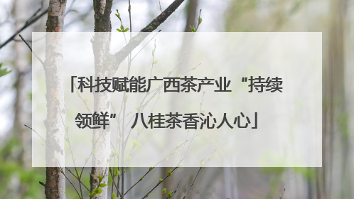 科技赋能广西茶产业“持续领鲜” 八桂茶香沁人心