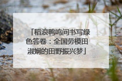 稻浪鸭鸣间书写绿色答卷：全国劳模田淑娴的田野振兴梦