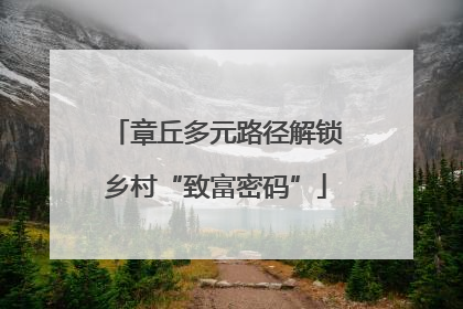 章丘多元路径解锁乡村“致富密码”