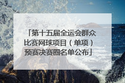 第十五届全运会群众比赛网球项目（单项）预赛决赛圈名单公布