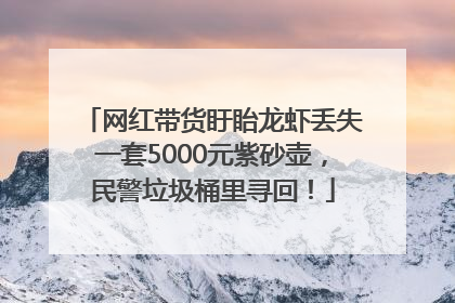 网红带货盱眙龙虾丢失一套5000元紫砂壶，民警垃圾桶里寻回！
