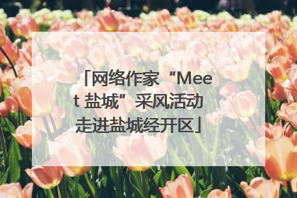 网络作家“Meet 盐城”采风活动走进盐城经开区
