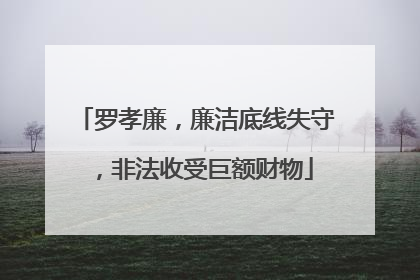 罗孝廉，廉洁底线失守，非法收受巨额财物