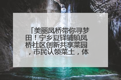 美丽凤桥带你寻梦田！宁乡夏铎铺镇凤桥社区创新共享菜园，市民认领菜土，体验耕种收获乐趣