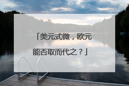 美元式微，欧元能否取而代之？