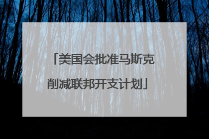 美国会批准马斯克削减联邦开支计划