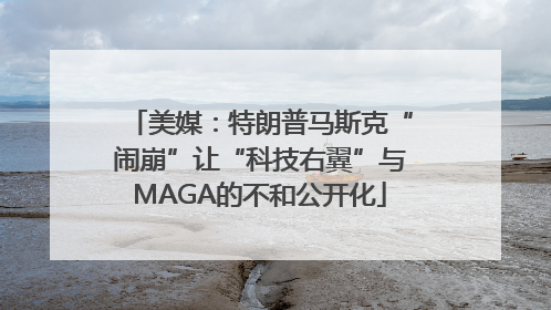 美媒：特朗普马斯克“闹崩”让“科技右翼”与MAGA的不和公开化