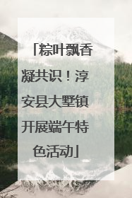 粽叶飘香凝共识！淳安县大墅镇开展端午特色活动