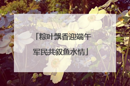 粽叶飘香迎端午 军民共叙鱼水情