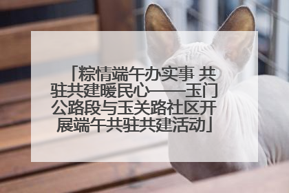 粽情端午办实事 共驻共建暖民心——玉门公路段与玉关路社区开展端午共驻共建活动