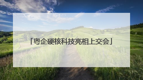 粤企硬核科技亮相上交会