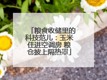 粮食收储里的科技范儿：玉米住进空调房 粮仓披上隔热罩
