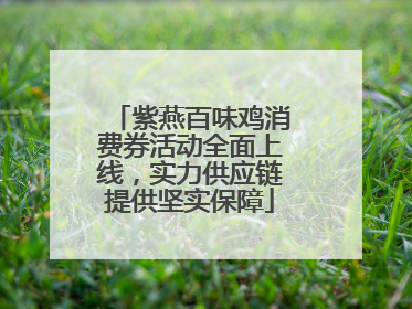 紫燕百味鸡消费券活动全面上线，实力供应链提供坚实保障