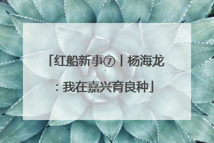 红船新事⑦丨杨海龙：我在嘉兴育良种