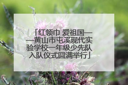 红领巾 爱祖国——黄山市屯溪现代实验学校一年级少先队入队仪式圆满举行