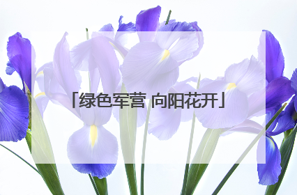 绿色军营 向阳花开