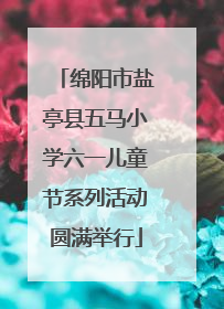 绵阳市盐亭县五马小学六一儿童节系列活动圆满举行