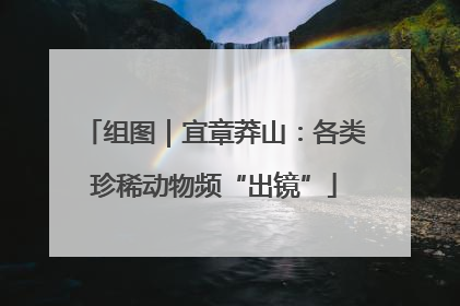 组图｜宜章莽山：各类珍稀动物频“出镜”