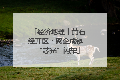 经济地理丨黄石经开区：聚企成链“芯光”闪耀