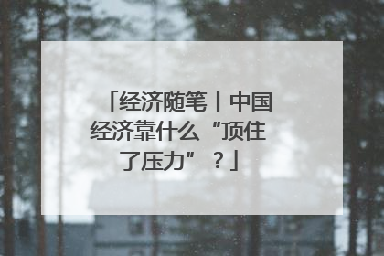 经济随笔丨中国经济靠什么“顶住了压力”？