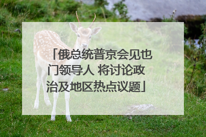俄总统普京会见也门领导人 将讨论政治及地区热点议题
