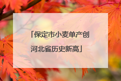 保定市小麦单产创河北省历史新高