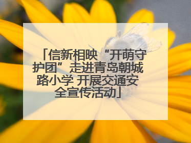 信新相映“开萌守护团”走进青岛朝城路小学 开展交通安全宣传活动