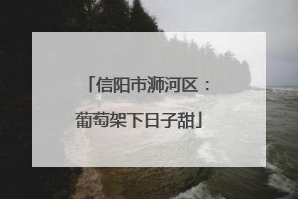 信阳市浉河区：葡萄架下日子甜