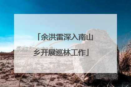 余洪雷深入南山乡开展巡林工作
