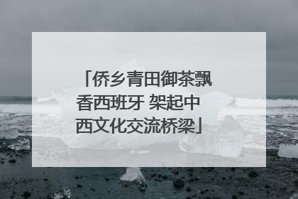 侨乡青田御茶飘香西班牙 架起中西文化交流桥梁