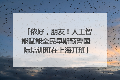 侬好，朋友！人工智能赋能全民早期预警国际培训班在上海开班