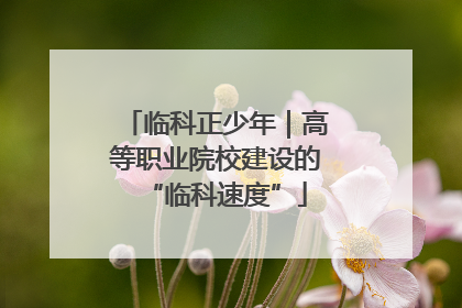 临科正少年｜高等职业院校建设的“临科速度”