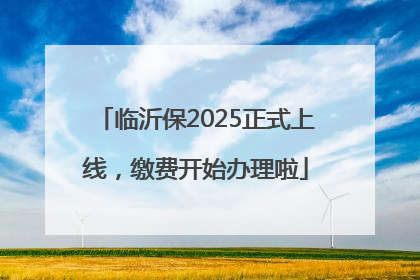 临沂保2025正式上线，缴费开始办理啦