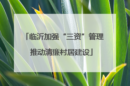 临沂加强“三资”管理 推动清廉村居建设