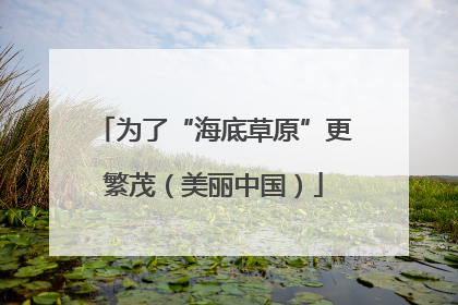 为了“海底草原”更繁茂（美丽中国）