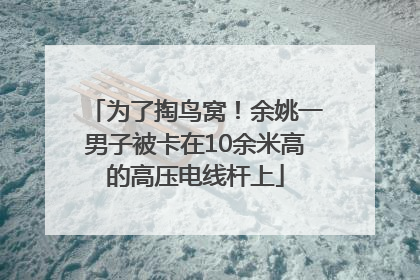为了掏鸟窝！余姚一男子被卡在10余米高的高压电线杆上