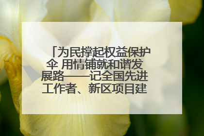 为民撑起权益保护伞 用情铺就和谐发展路——记全国先进工作者、新区项目建设中心干部卢小勇