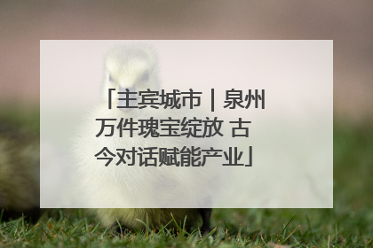 主宾城市｜泉州万件瑰宝绽放 古今对话赋能产业