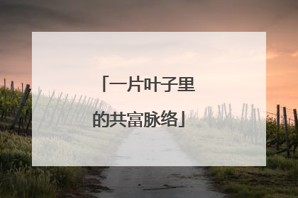 一片叶子里的共富脉络