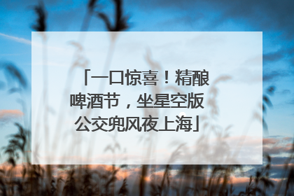 一口惊喜！精酿啤酒节，坐星空版公交兜风夜上海
