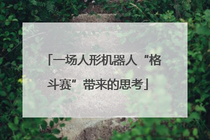 一场人形机器人“格斗赛”带来的思考