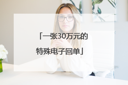 一张30万元的特殊电子回单