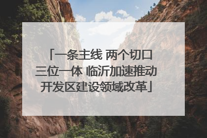 一条主线 两个切口 三位一体 临沂加速推动开发区建设领域改革