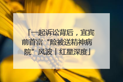一起诉讼背后，宜宾前首富“险被送精神病院”风波丨红星深度