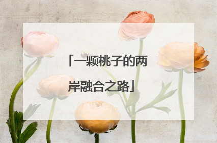一颗桃子的两岸融合之路